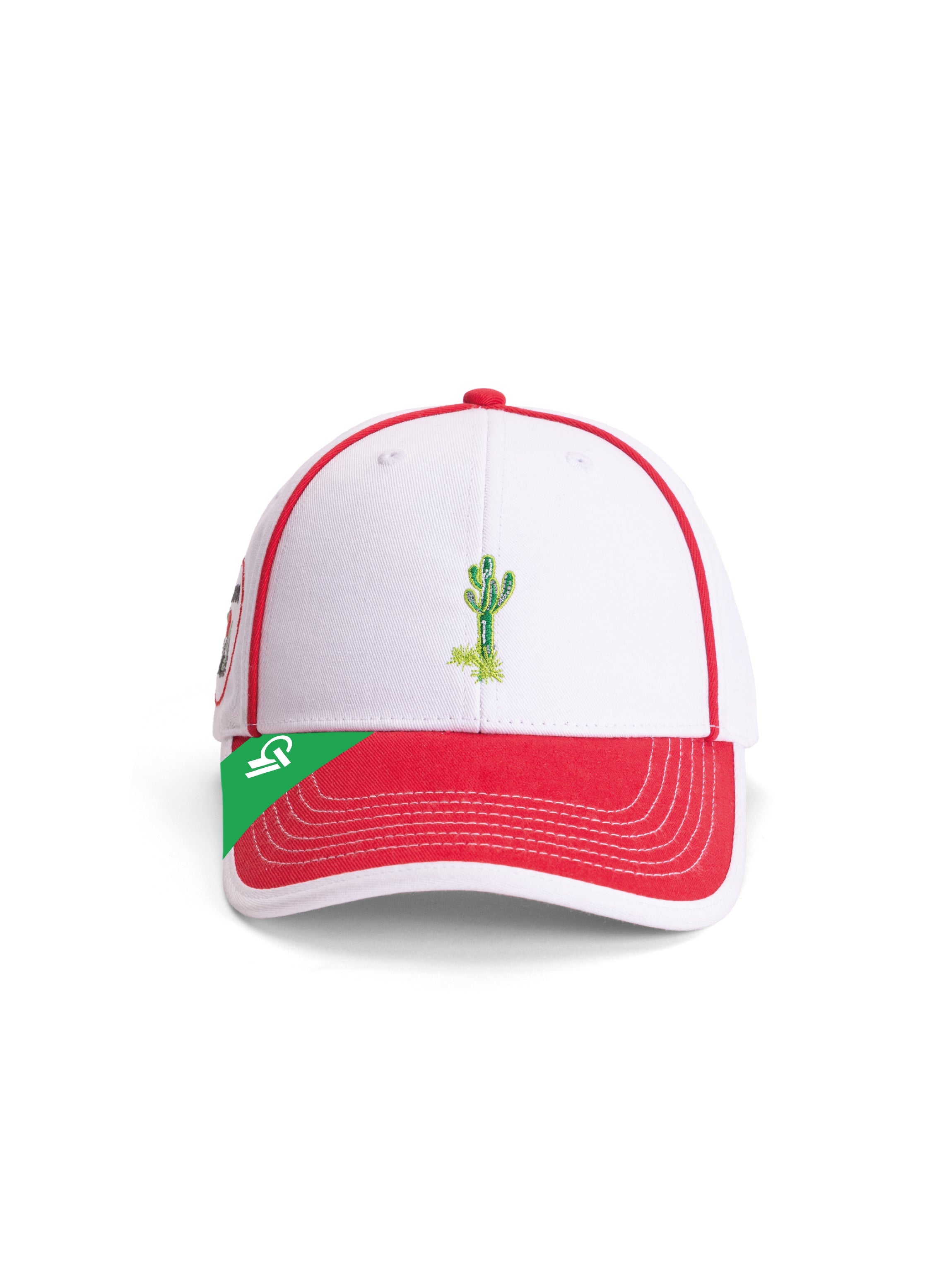 Buy Arizona Cactus Cap front Look